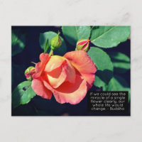 Pink Budding Rose Motivational Quote
