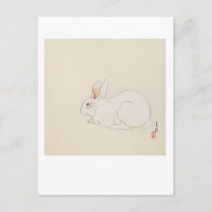 Pink Bunny Postcard