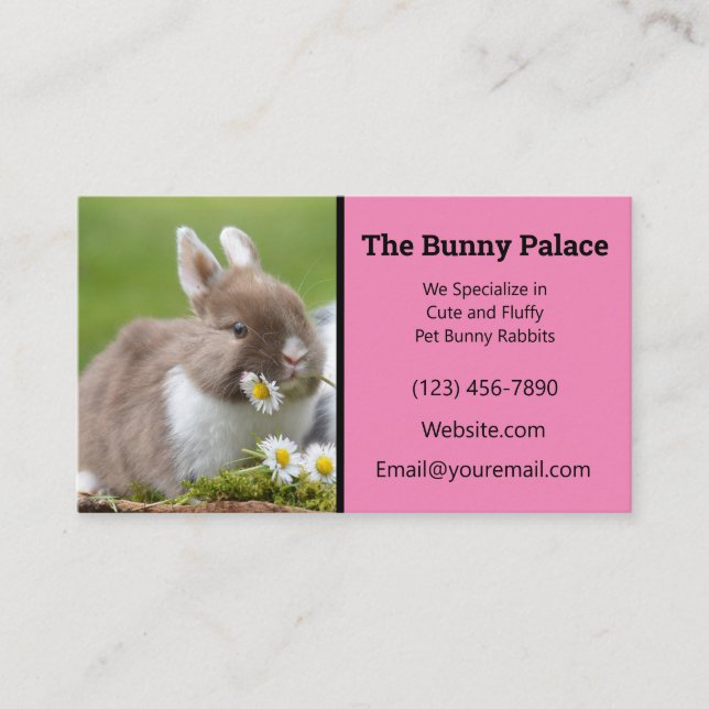 Pink Bunny Rabbit Breeder Business Card (Front)