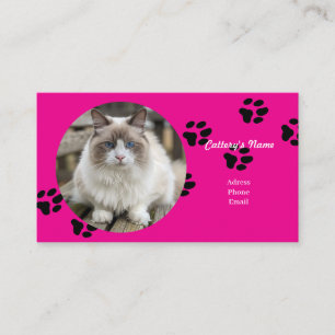Pink Business Card For cattery 