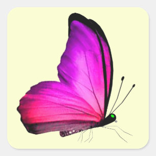 Pink Butterfly Envelope Seals