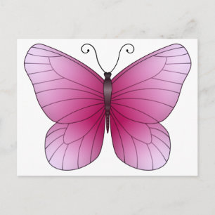 Pink Butterfly Postcard