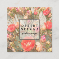 Pink Cactus Flower Desert Garden Photo Travel