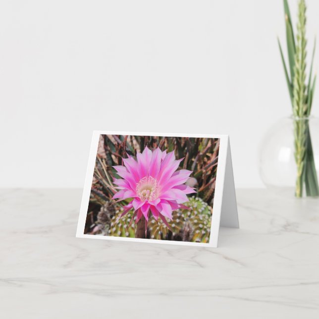 Pink Cactus Flower Folded Blank Any Occasion Card (Front)