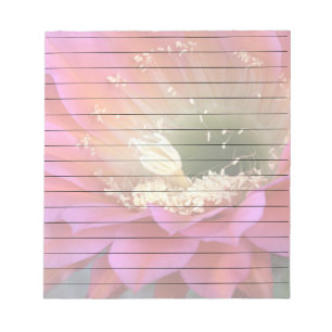 Pink cactus flower in the desert notepad