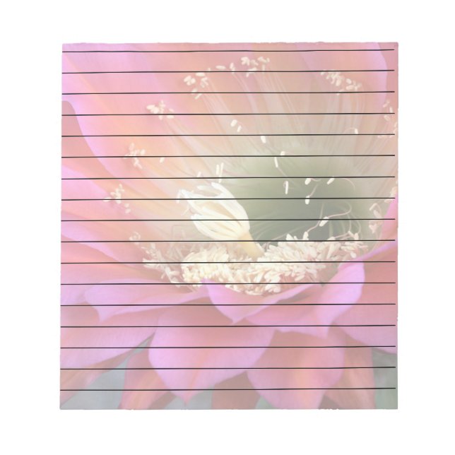 Pink cactus flower in the desert notepad (Front)
