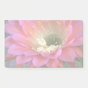 Pink cactus flower in the desert post-it notes