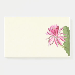 Pink cactus flower,  post-it notes