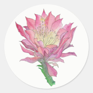 Pink Cactus Flower Small Round Sticker