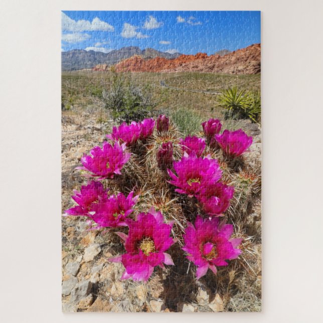 Pink cactus flowers in Red Rock Canyon, NV Jigsaw Puzzle (Vertical)