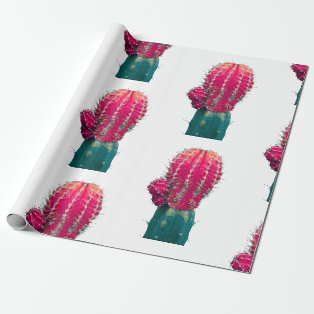 Pink Cactus Photo Wrapping Paper (Unrolled)