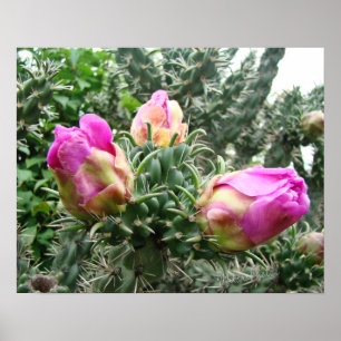 Pink Cactus Print