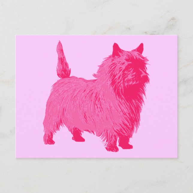 Pink Cairn Terrier Postcard (Front)