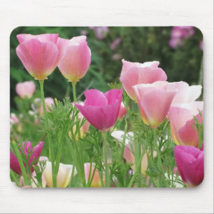 Pink Californian Poppies Mouse Pad