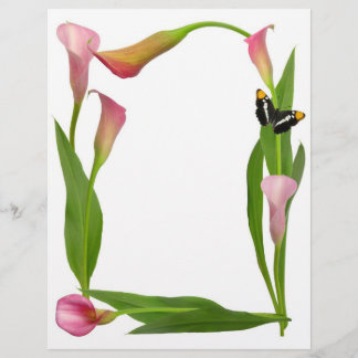 Pink Calla Lilies
