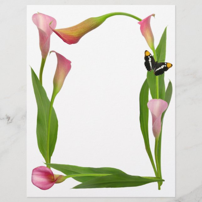 Pink Calla Lilies (Front)