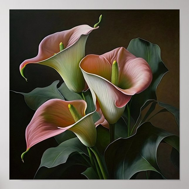 Pink Calla Lilies Lily Flower Art Print Poster (Front)