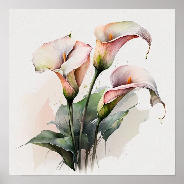 Pink Calla Lilies Lily Flower Art Print Poster (Front)