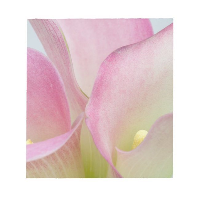 Pink Calla Lilies Notepad (Front)
