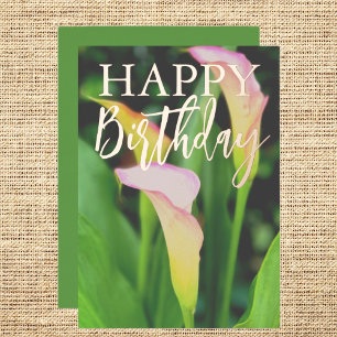 Pink Calla Lillies Happy Birthday 