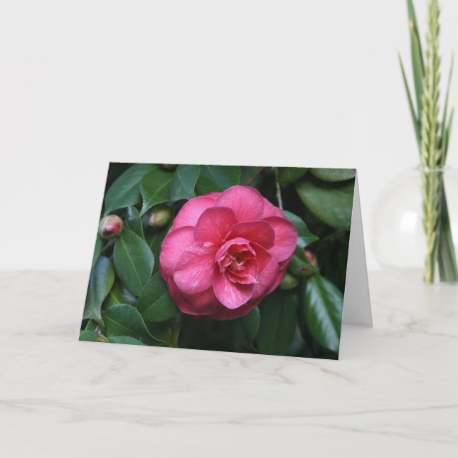 "Pink Camellia # 1" Card (Front)