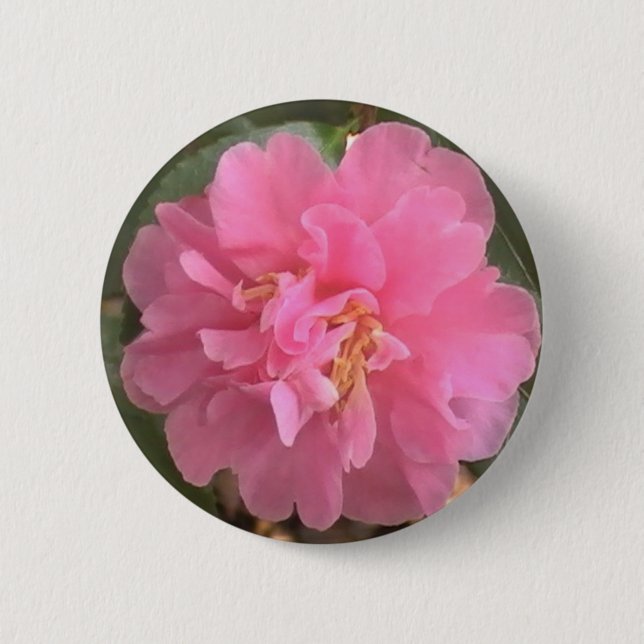 Pink Camellia 6 Cm Round Badge (Front)