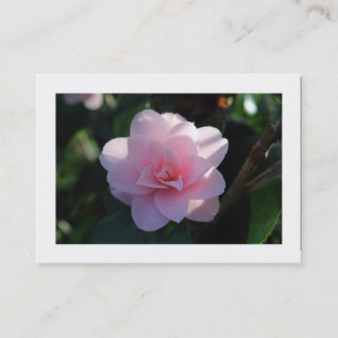 Pink Camellia (Bordered) Business Card