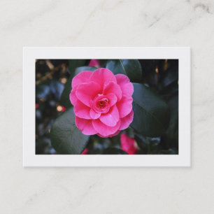 Pink Camellia (Bordered) Business Card