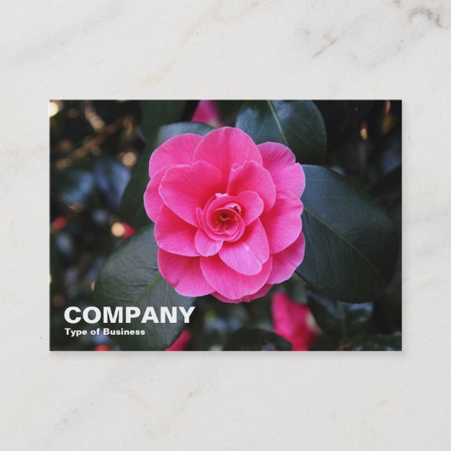 Pink Camellia Business Card (Front)
