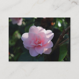 Pink Camellia Business Card