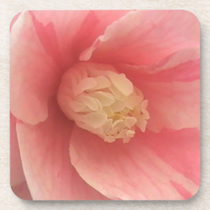 Pink Camellia Coaster