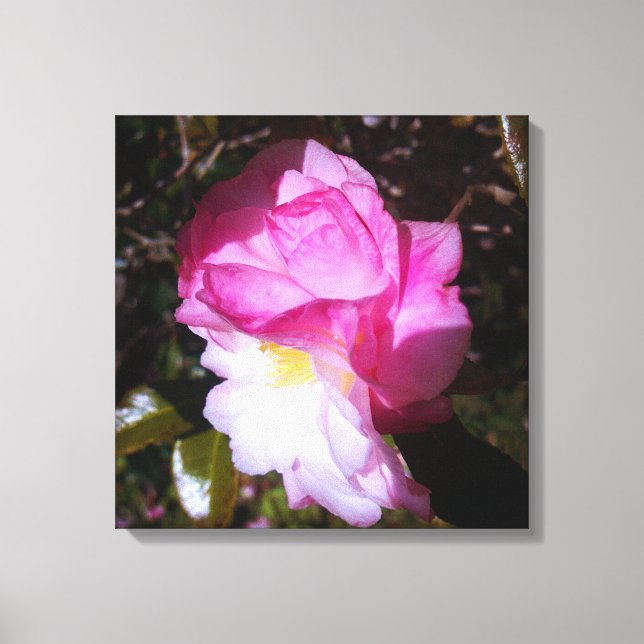 Pink Camellia Colour Canvas Wall Decor (Front)