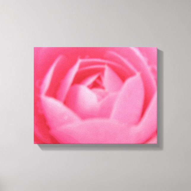 Pink Camellia Flower Canvas Print (Front)