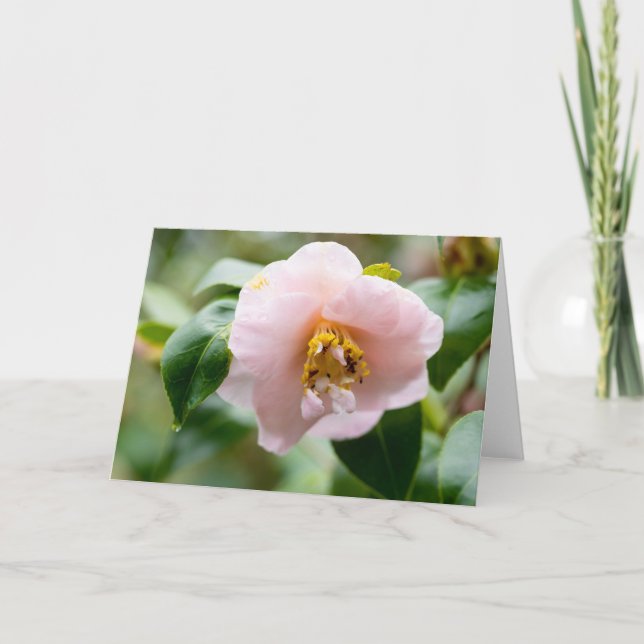 Pink Camellia Flower Note  Card (Front)