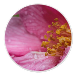 Pink Camellia Flower Stamens Ceramic Knob