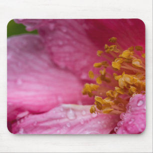 Pink Camellia Flower Stamens Mouse Pad