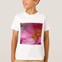 Pink Camellia Flower Stamens