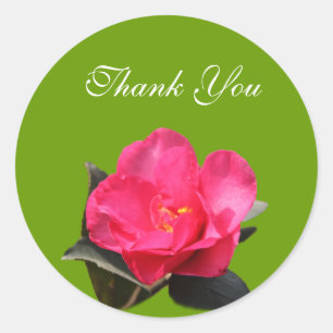 pink camellia flower thank you stickers