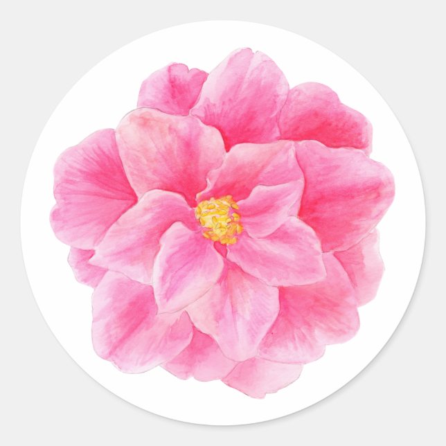 Pink camellia flower watercolor art sticker (Front)