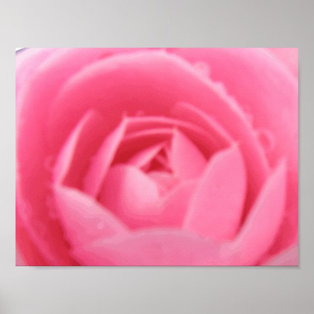 Pink Camellia Print (Front)