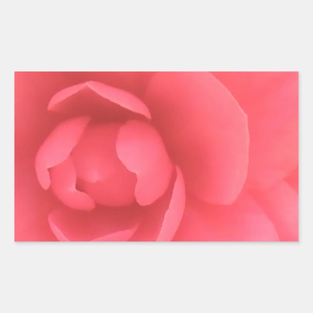 Pink Camellia Rectangular Sticker (Front)