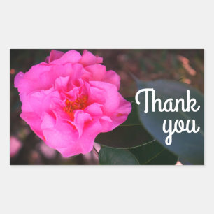 Pink Camellia Thank You Stickers