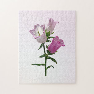 Pink Canterbury Bells Jigsaw Puzzle