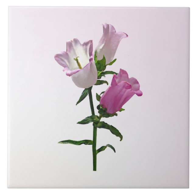 Pink Canterbury Bells Tile (Front)