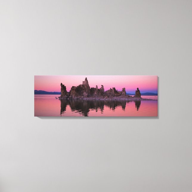 Pink Canvas Print (Front)
