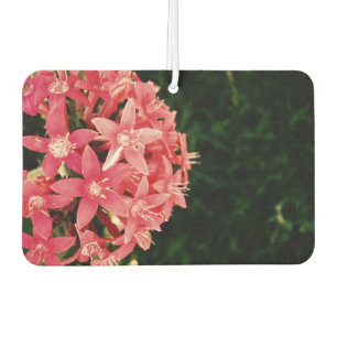 Pink Car Air Freshener