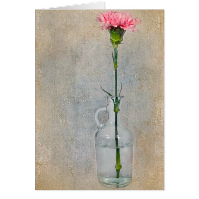 Pink Carnation (Front)