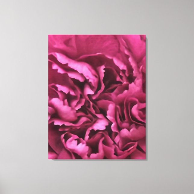 Pink Carnation Canvas Print (Front)