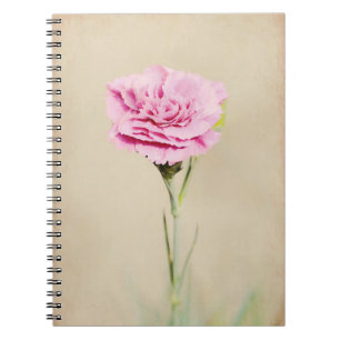 Pink Carnation Flower from Gertie's Garden Notebook