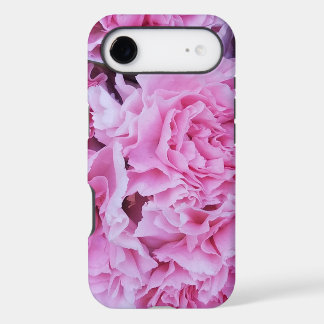 Pink carnation flowers